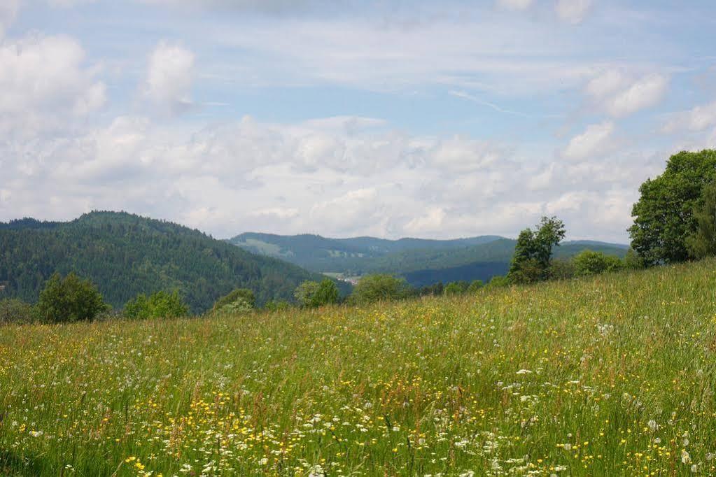 Parkhotel Waldlust Häusern Екстериор снимка