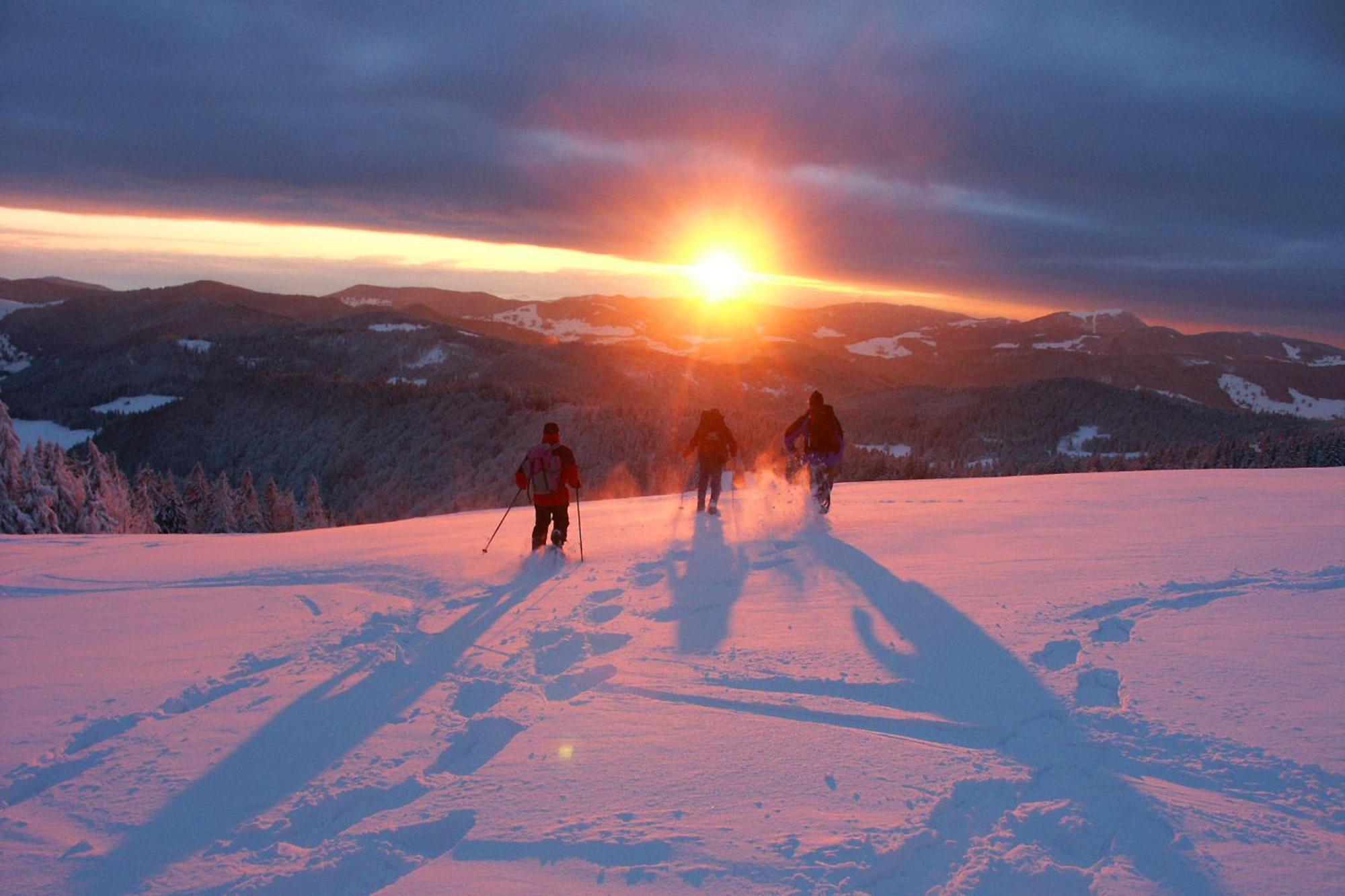 Parkhotel Waldlust Häusern Екстериор снимка
