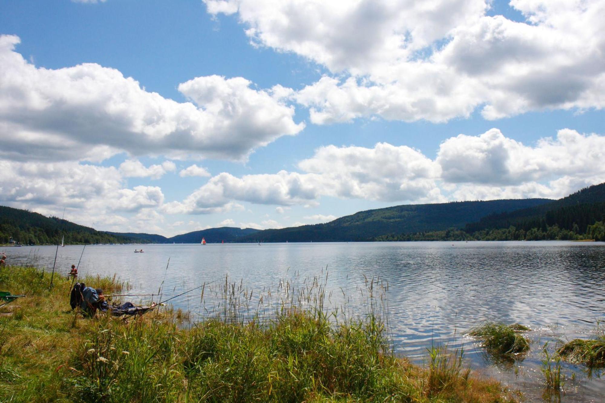 Parkhotel Waldlust Häusern Екстериор снимка