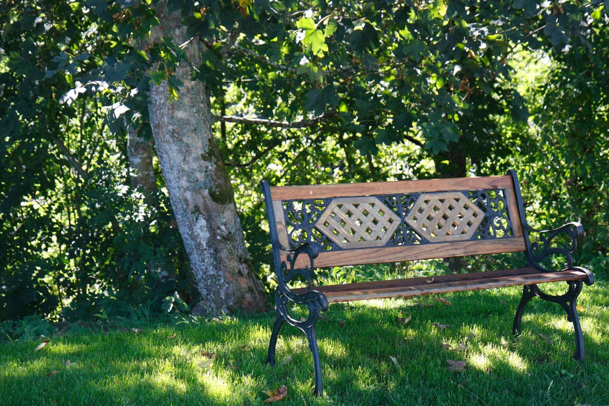 Parkhotel Waldlust Häusern Екстериор снимка